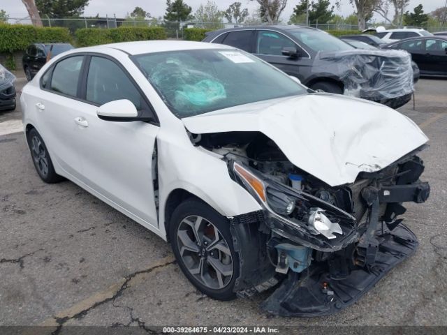 KIA FORTE 2019 3kpf24ad3ke092888