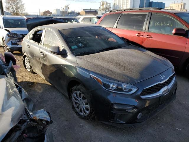 KIA FORTE FE 2019 3kpf24ad3ke098688