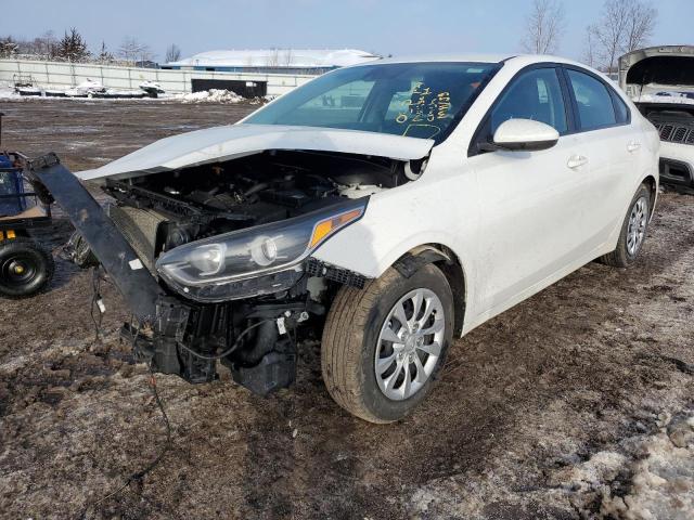 KIA FORTE FE 2019 3kpf24ad3ke100164