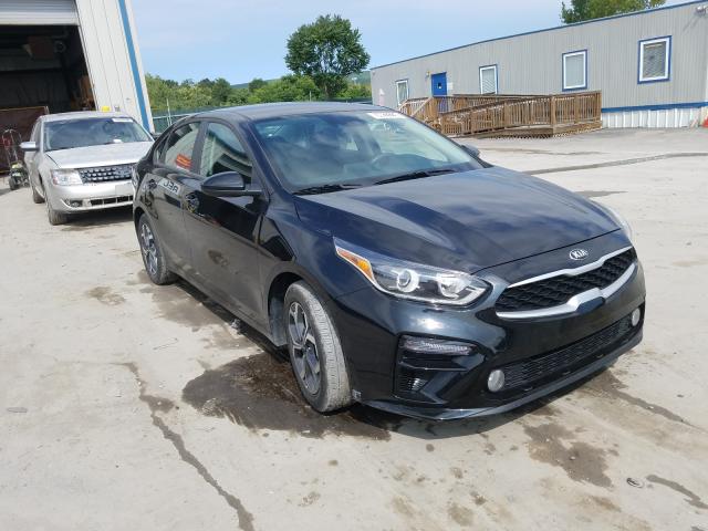 KIA FORTE FE 2019 3kpf24ad3ke101587