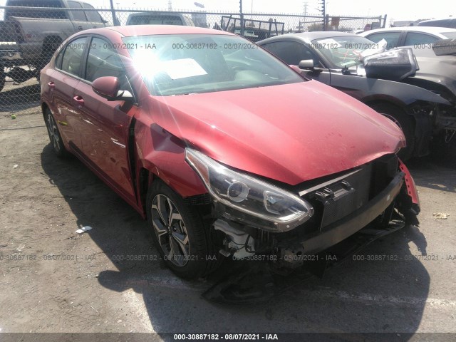 KIA FORTE 2019 3kpf24ad3ke107745