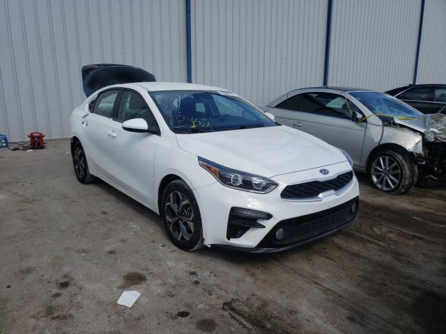 KIA FORTE FE 2019 3kpf24ad3ke112315