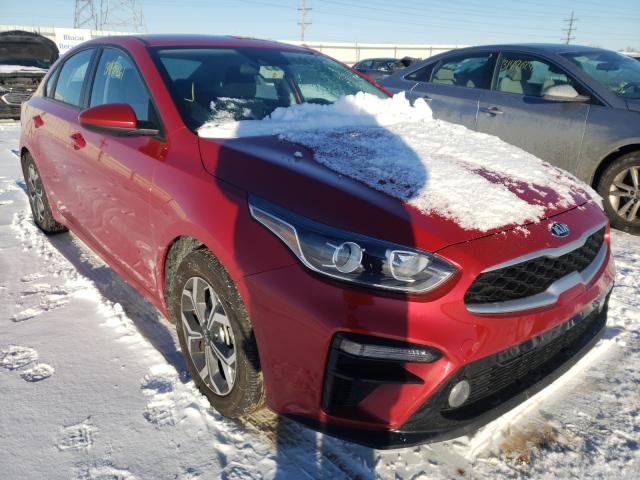 KIA FORTE FE 2019 3kpf24ad3ke117269