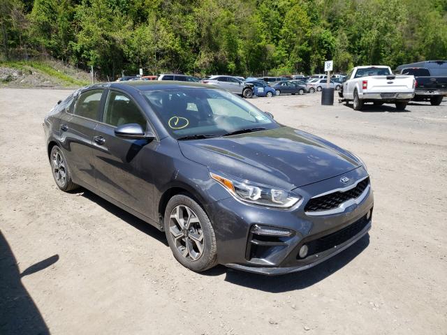 KIA FORTE FE 2019 3kpf24ad3ke117336