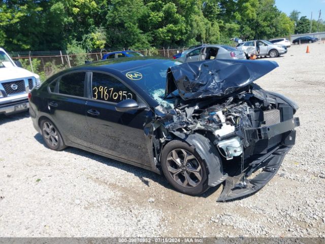 KIA FORTE 2019 3kpf24ad3ke118356