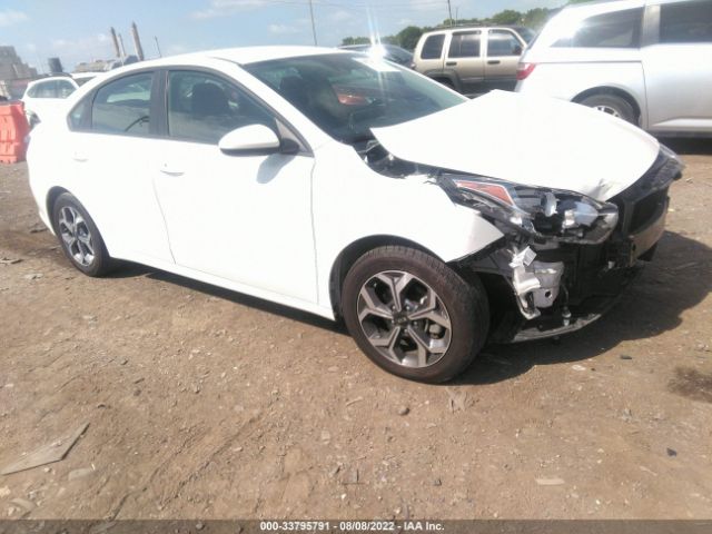 KIA FORTE 2019 3kpf24ad3ke120236