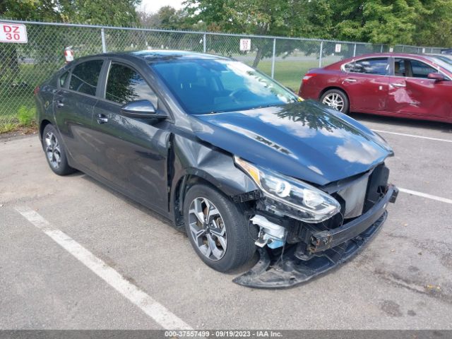 KIA FORTE 2019 3kpf24ad3ke131771