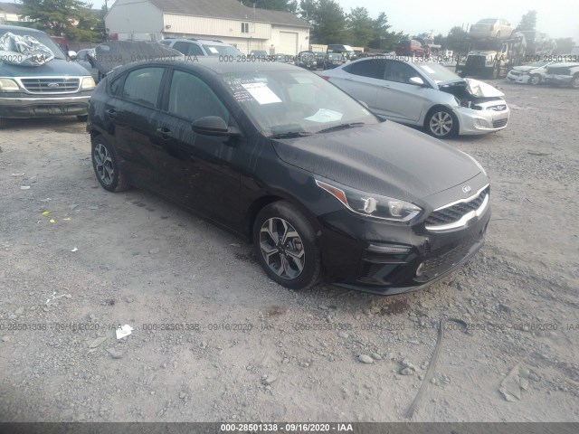 KIA FORTE 2019 3kpf24ad3ke132533