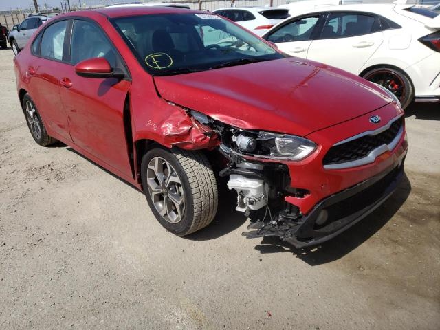 KIA FORTE FE 2019 3kpf24ad3ke138302