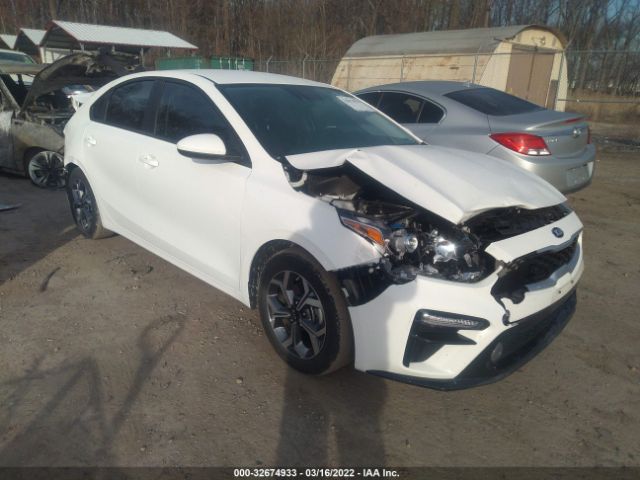 KIA FORTE 2019 3kpf24ad3ke149655