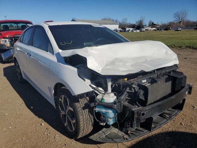 KIA FORTE FE 2019 3kpf24ad4ke006987