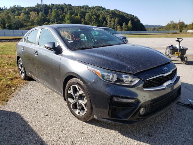 KIA FORTE FE 2019 3kpf24ad4ke012322