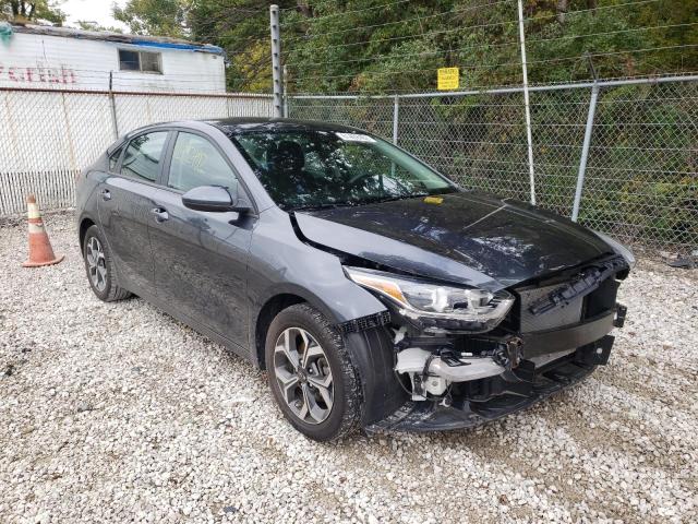 KIA FORTE FE 2019 3kpf24ad4ke014202