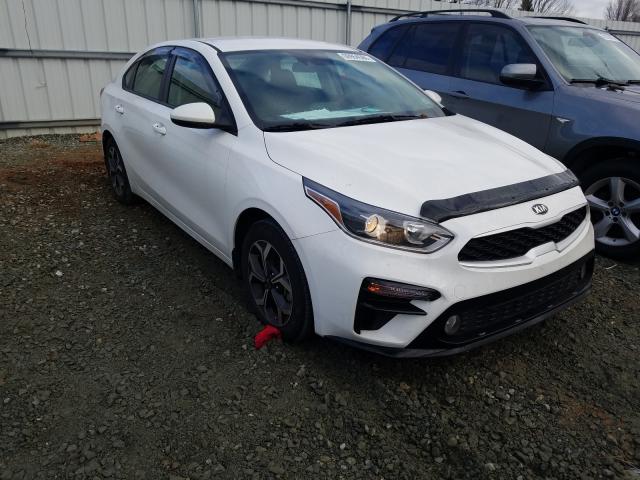 KIA FORTE FE 2019 3kpf24ad4ke026883