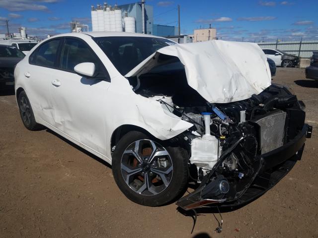 KIA FORTE FE 2019 3kpf24ad4ke029864