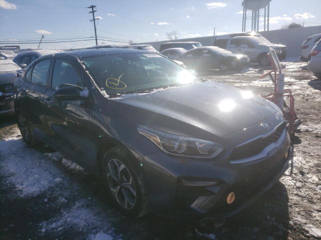 KIA FORTE FE 2019 3kpf24ad4ke030464