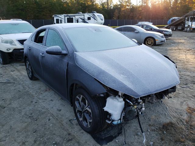 KIA FORTE FE 2019 3kpf24ad4ke058846