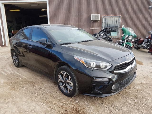 KIA FORTE FE 2019 3kpf24ad4ke061505