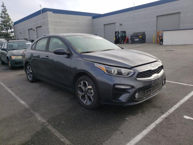 KIA FORTE FE 2019 3kpf24ad4ke083133