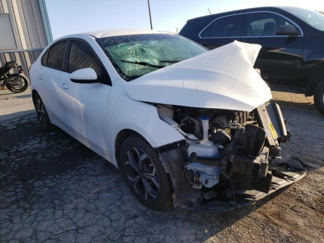 KIA FORTE FE 2019 3kpf24ad4ke099977