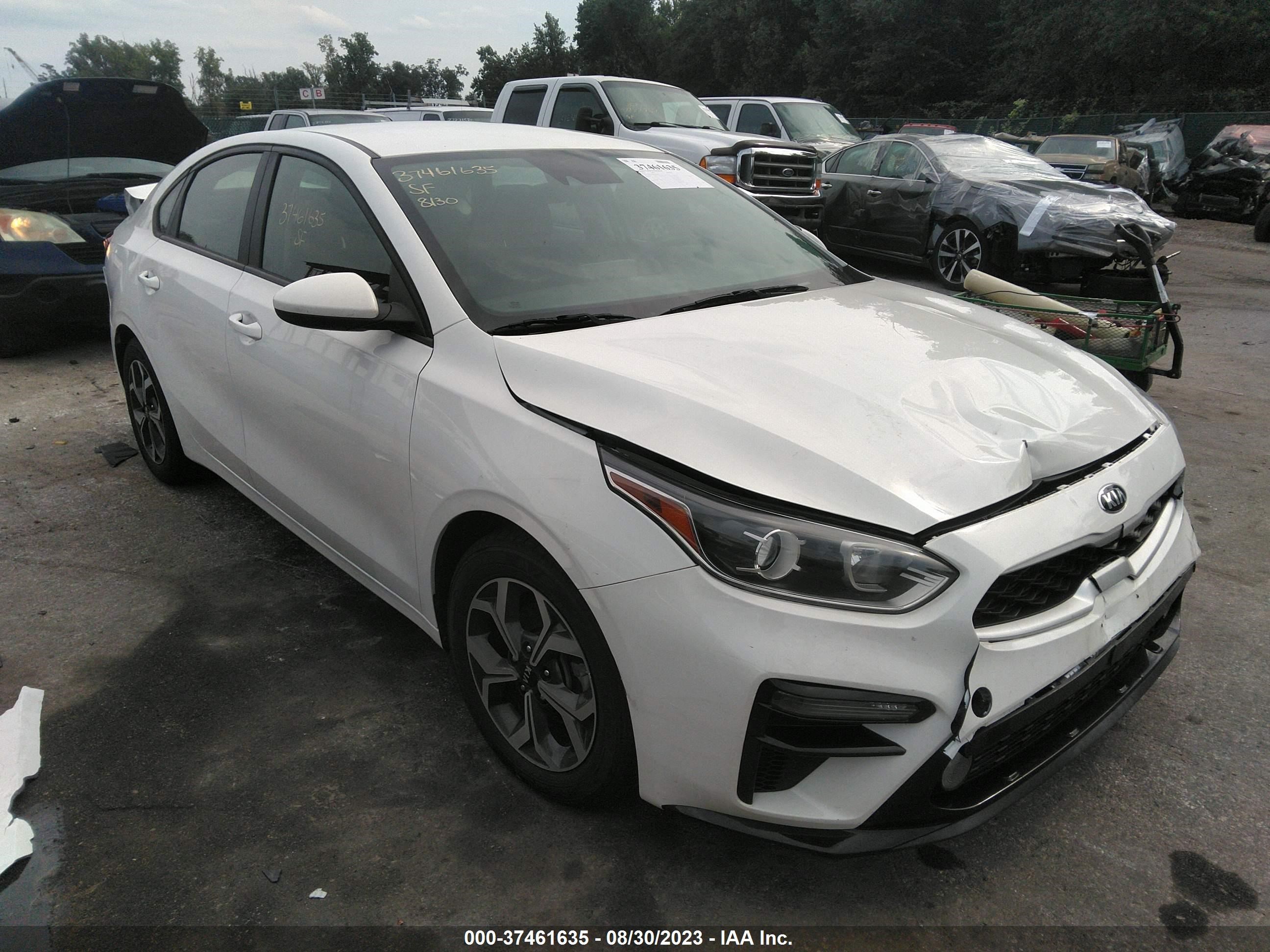 KIA FORTE 2019 3kpf24ad4ke103719