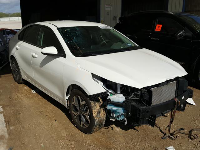 KIA FORTE FE 2019 3kpf24ad4ke107382