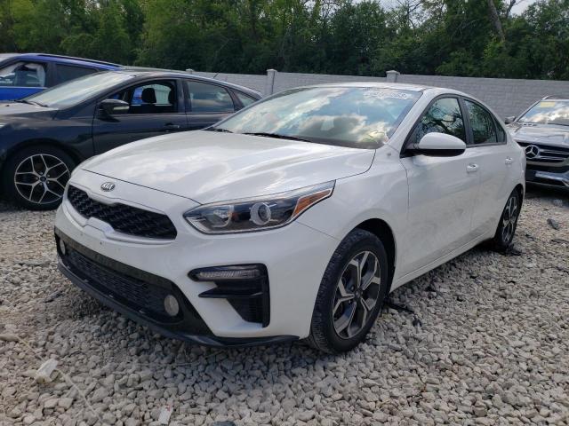 KIA FORTE FE 2019 3kpf24ad4ke125994