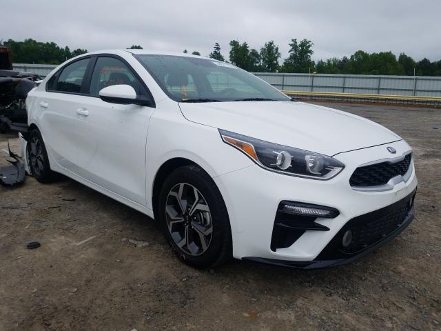 KIA FORTE FE 2019 3kpf24ad4ke130919