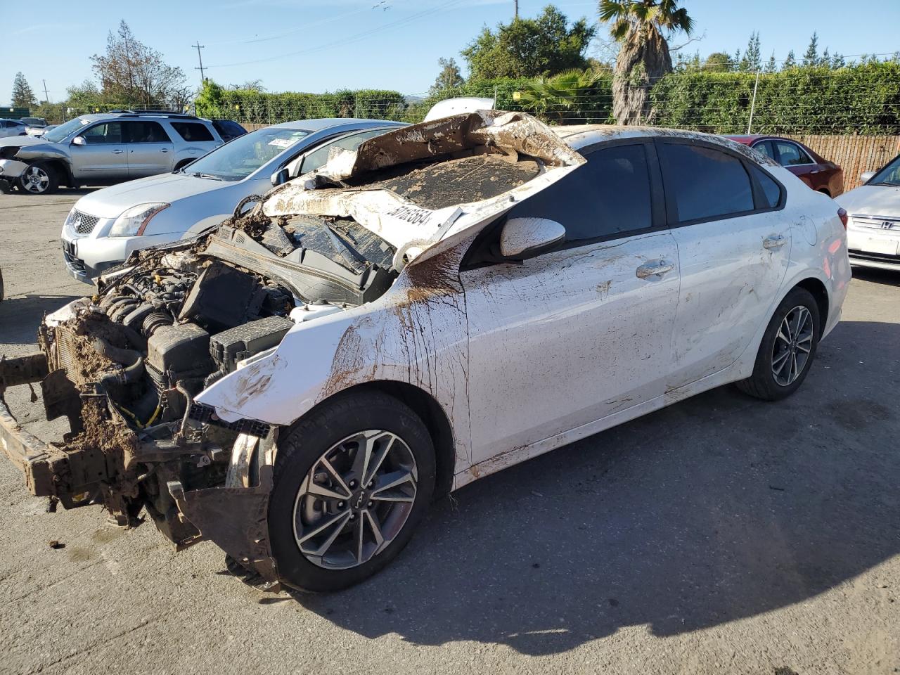 KIA FORTE 2023 3kpf24ad4pe674411