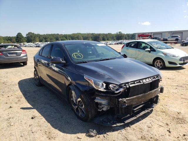 KIA FORTE FE 2019 3kpf24ad5ke010174