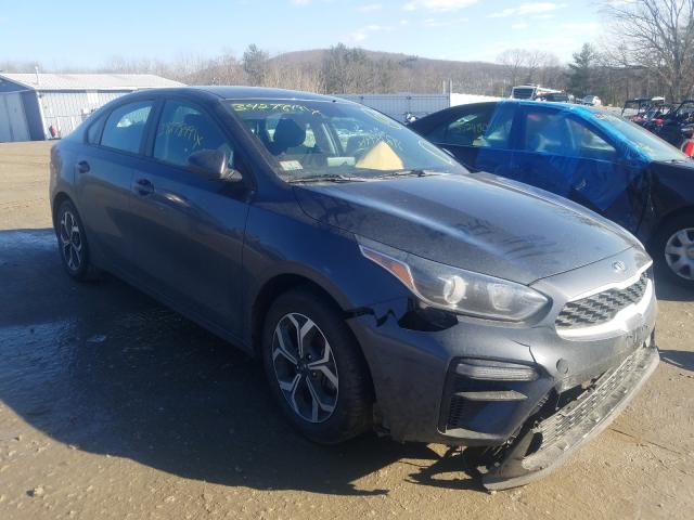 KIA FORTE FE 2019 3kpf24ad5ke018811