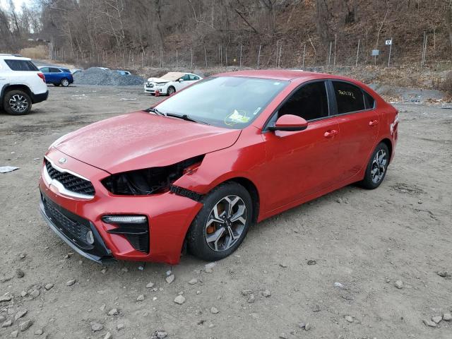 KIA FORTE FE 2019 3kpf24ad5ke022292