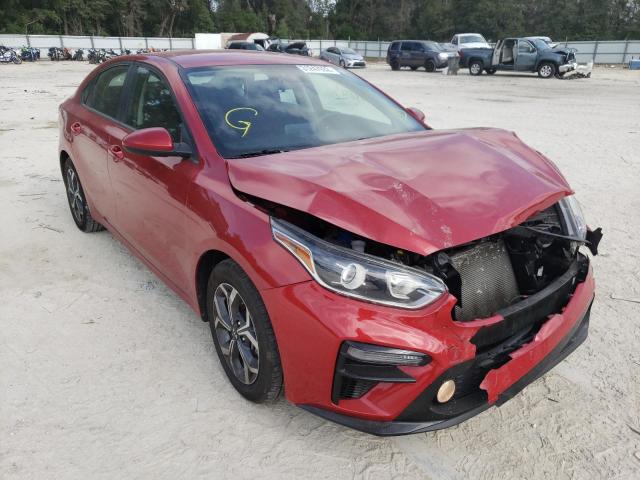 KIA FORTE FE 2019 3kpf24ad5ke029985