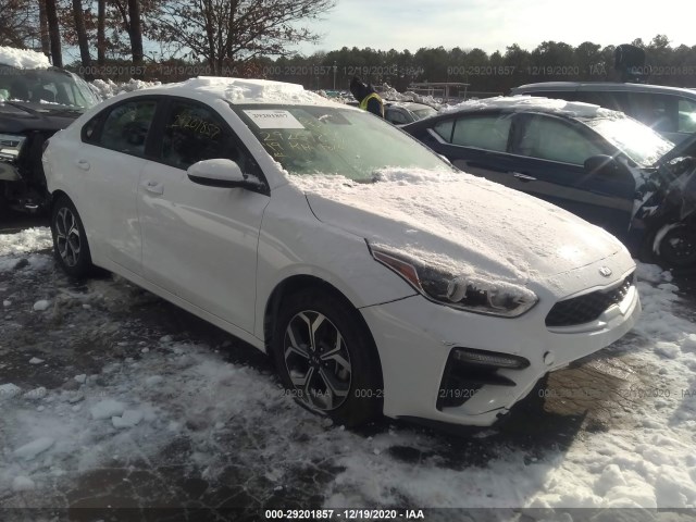 KIA FORTE 2019 3kpf24ad5ke040484