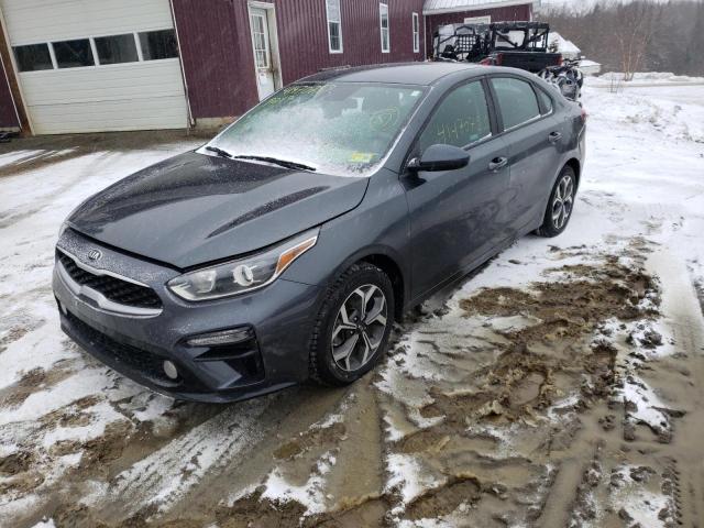 KIA FORTE FE 2019 3kpf24ad5ke042669