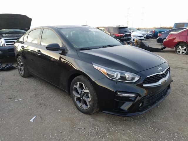 KIA FORTE FE 2019 3kpf24ad5ke058631