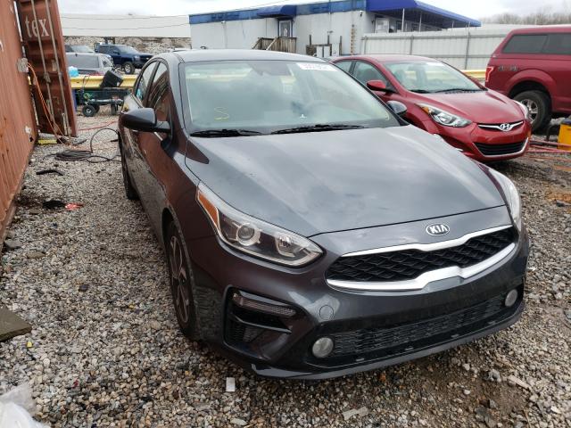 KIA FORTE FE 2019 3kpf24ad5ke076515