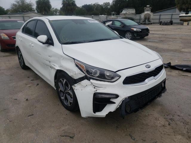 KIA FORTE FE 2019 3kpf24ad5ke112428