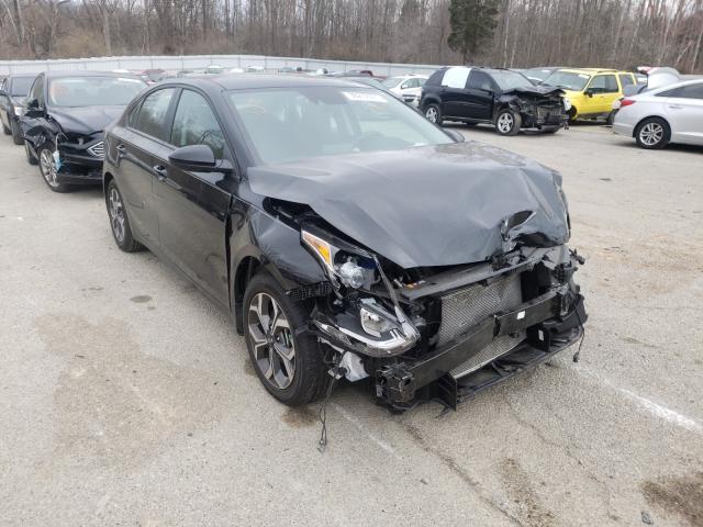 KIA FORTE FE 2019 3kpf24ad5ke132341