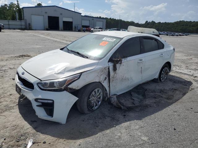 KIA FORTE FE 2019 3kpf24ad5ke132923