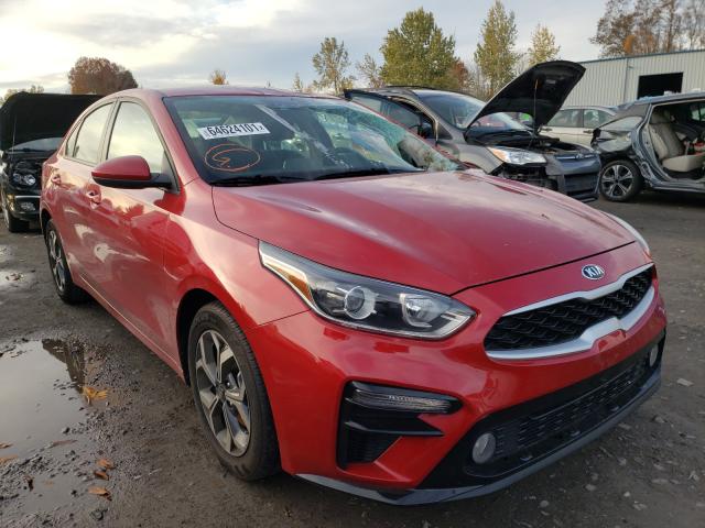 KIA FORTE FE 2019 3kpf24ad6ke043118