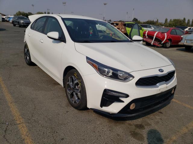 KIA FORTE FE 2019 3kpf24ad6ke044236