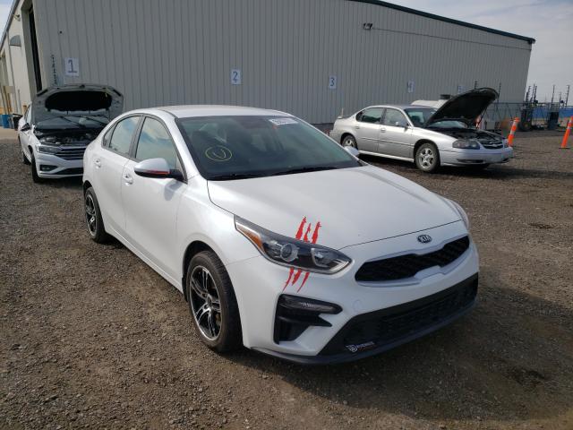 KIA FORTE FE 2019 3kpf24ad6ke047279