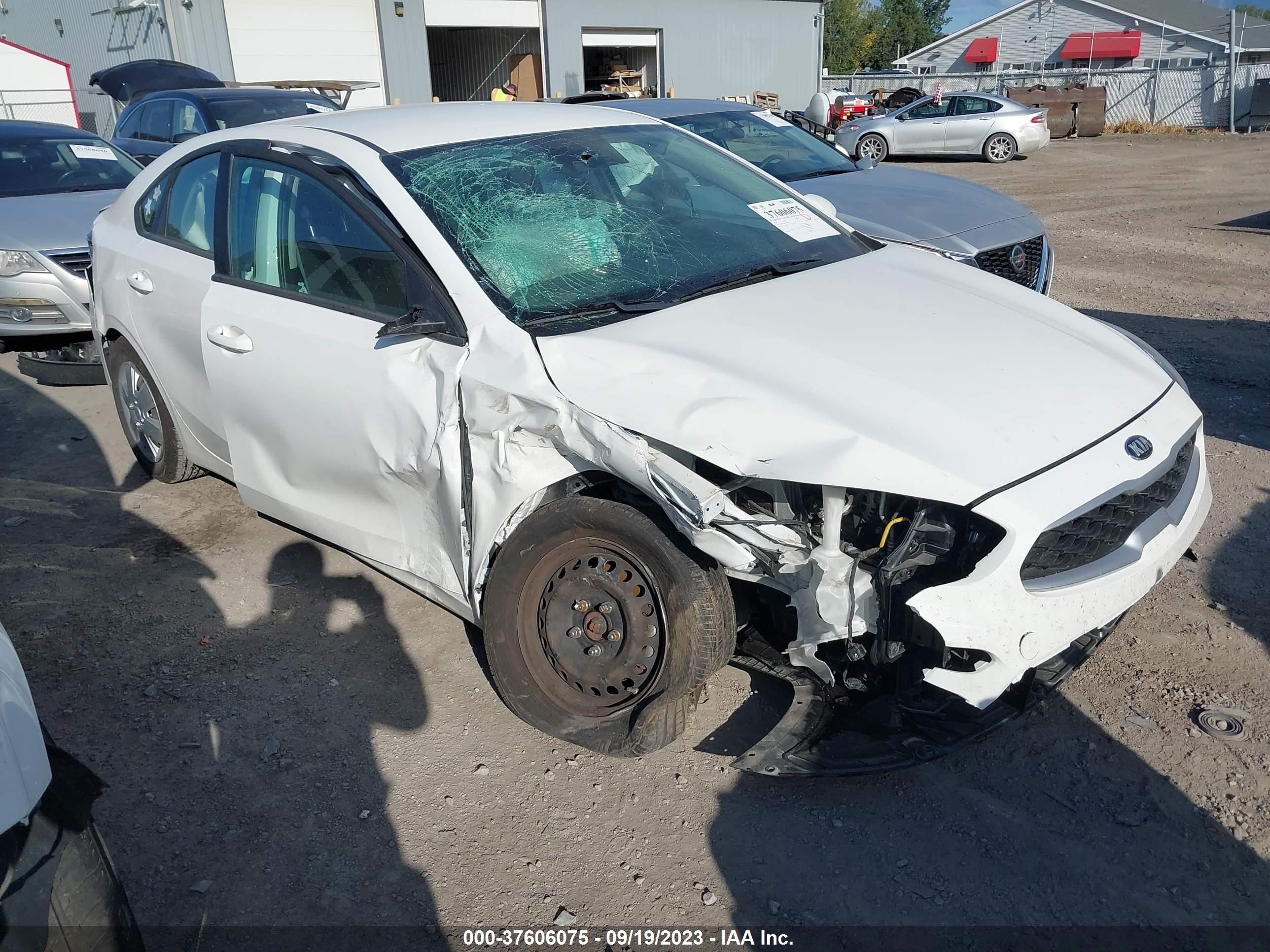 KIA FORTE 2019 3kpf24ad6ke049839