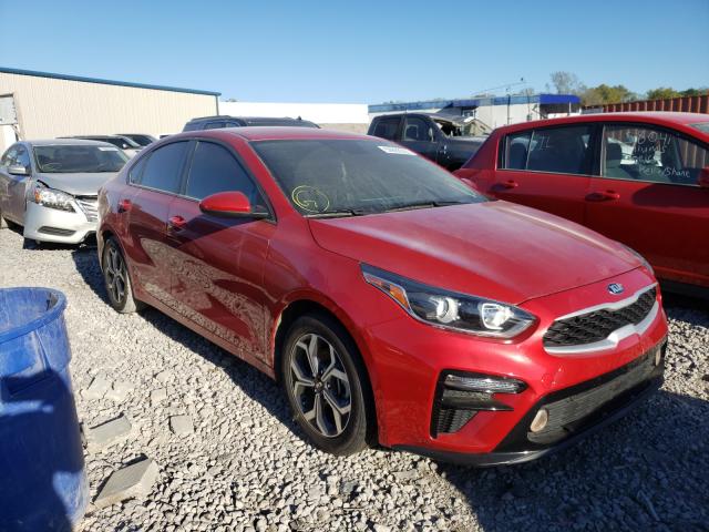 KIA FORTE FE 2019 3kpf24ad6ke053597