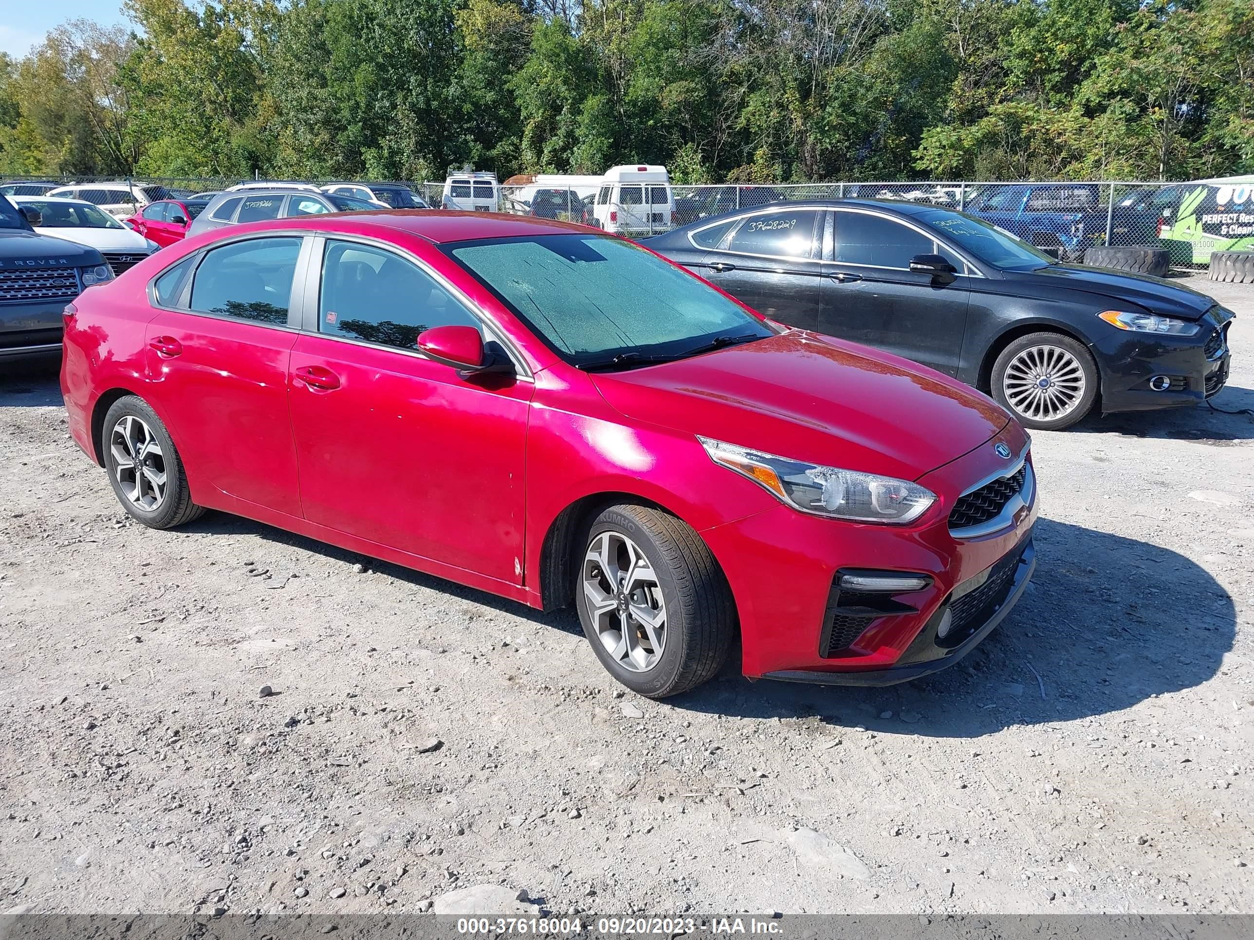 KIA FORTE 2019 3kpf24ad6ke058833