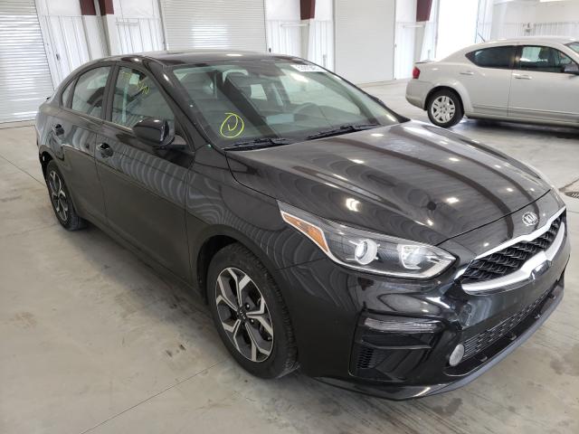 KIA FORTE FE 2019 3kpf24ad6ke071789