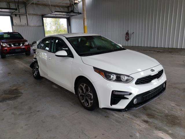 KIA FORTE FE 2019 3kpf24ad6ke096207