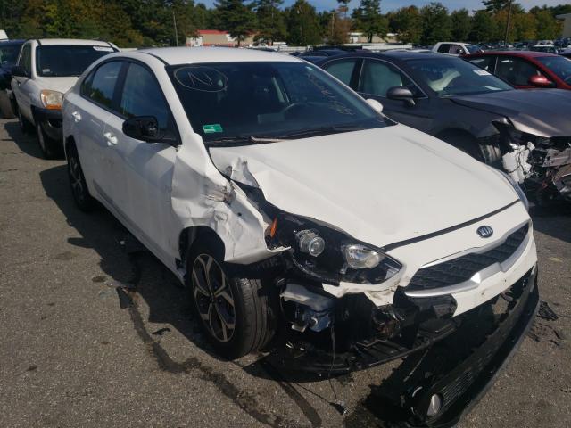 KIA FORTE FE 2019 3kpf24ad6ke103494