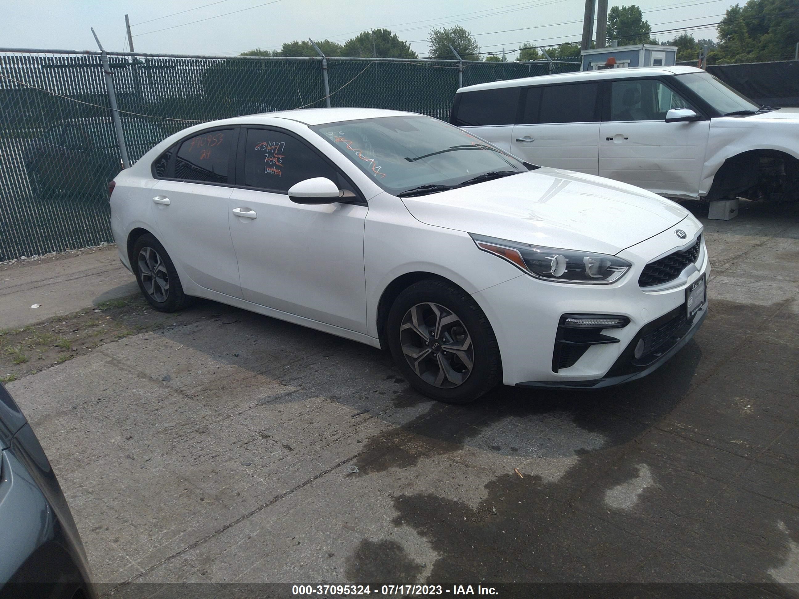 KIA FORTE 2019 3kpf24ad6ke113801